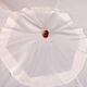image 10 of Oypla 2.1m Wooden White Garden Parasol Outdoor Patio Umbrella Canopy White