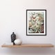 image 4 of Kolibri Birds Hummingbird Species Haeckel Framed Wall Art Print 12X16"