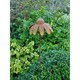 image 2 of 5 Feet Flowering Daisy Plant Pin Garden Art (Pack of 3) - Bare Metal/Ready to Rust