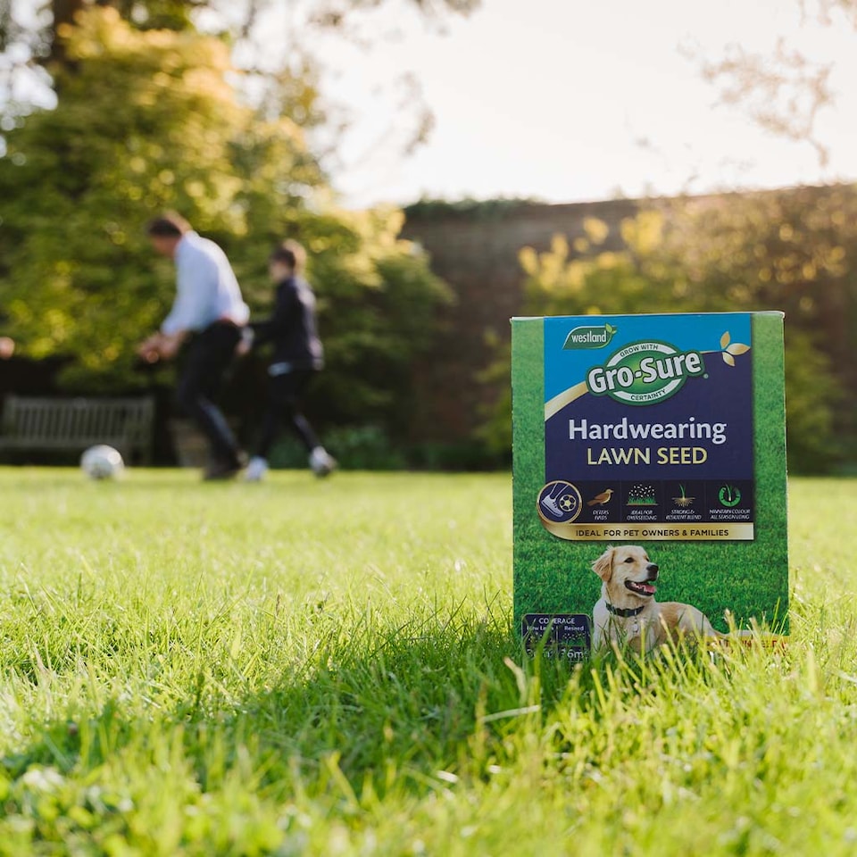 image 1 of Gro-Sure Hardwearing Lawn Seed 350 sqm Box