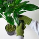 image 5 of Homescapes Microfibre Dusting Gloves for Artificial Plants, Green | Green | L 13.8 x D 1.6 x H 22.8 cm
