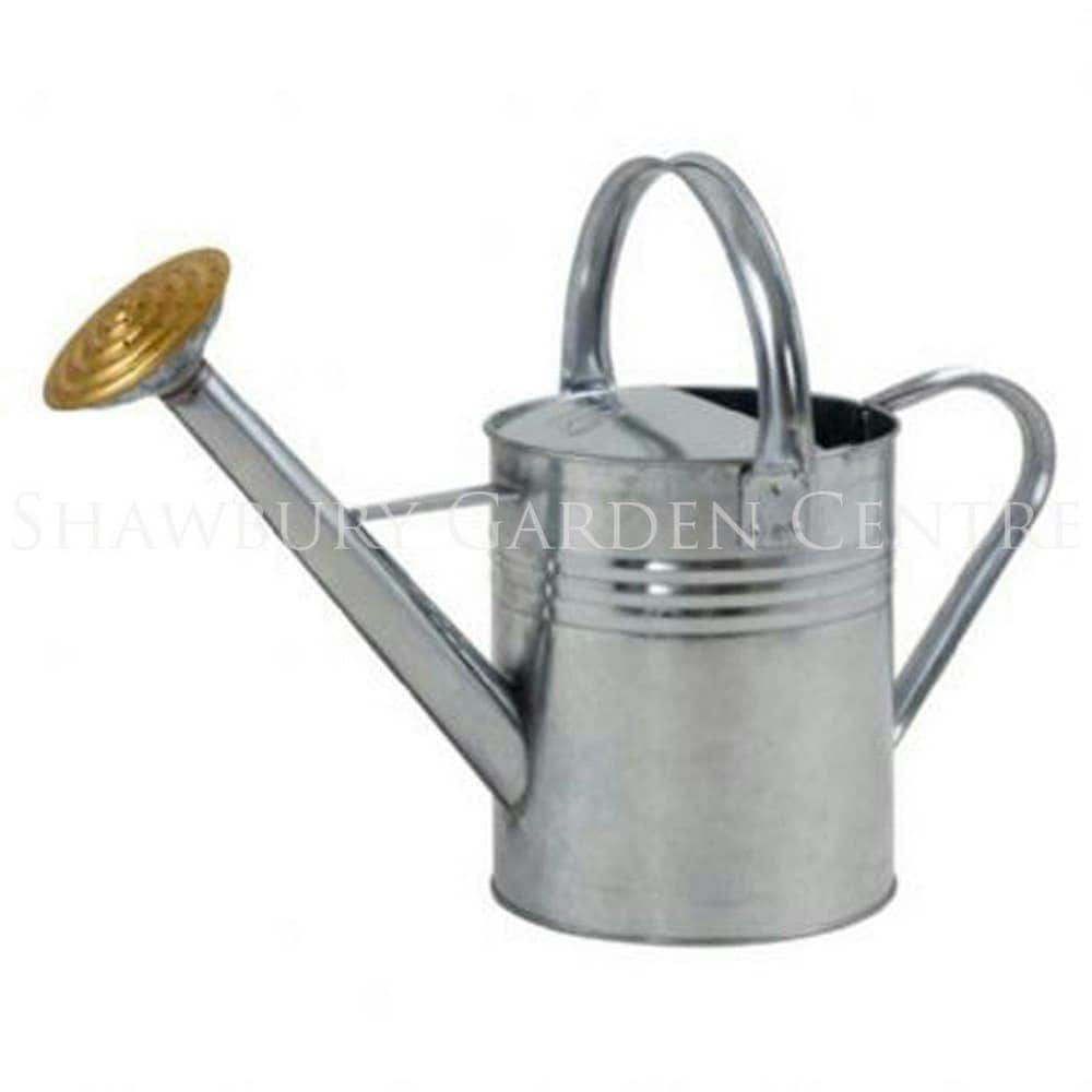 Ambassador Galvanised Watering Can - Silver - 9l