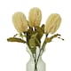 image 3 of Hill Interiors Banksia Serrata Artificial Flower - Cream - One Size