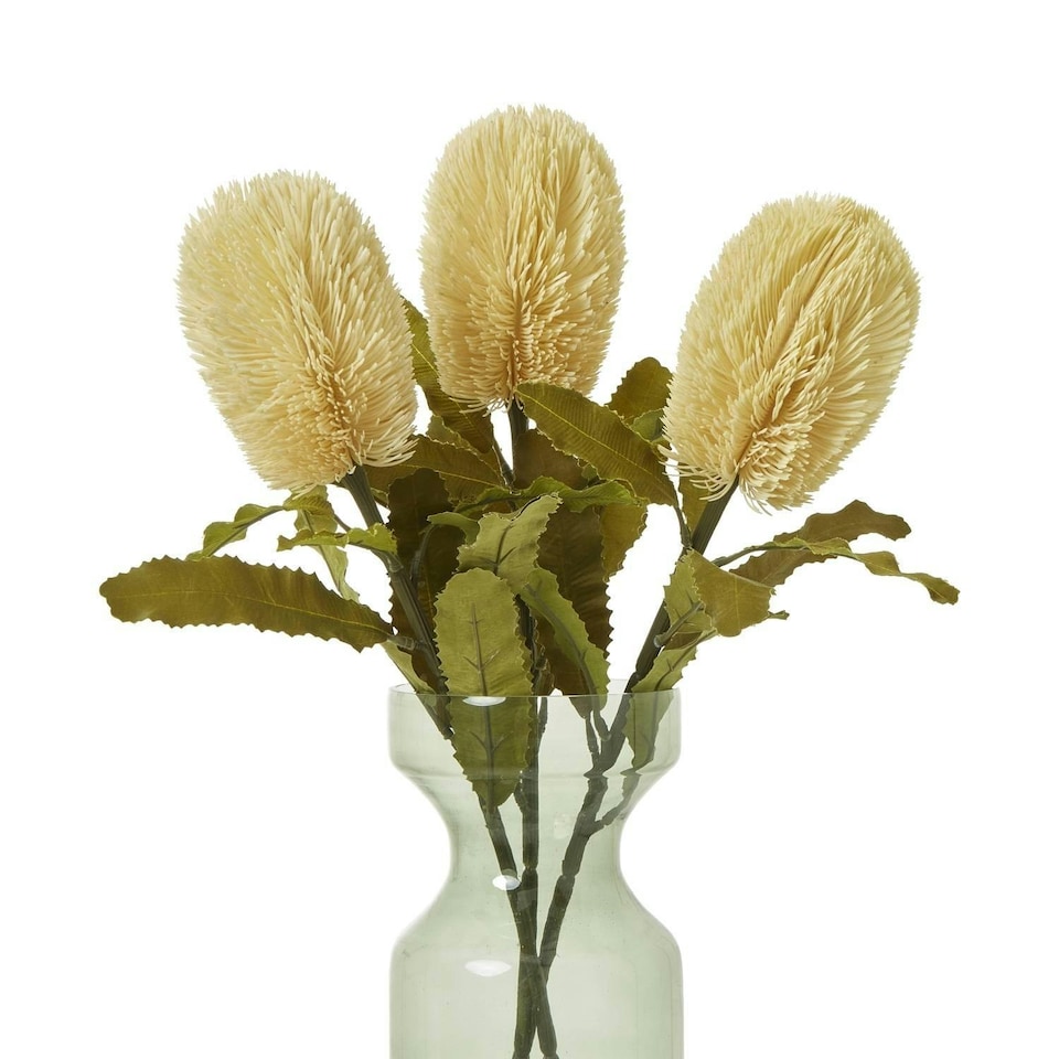 image 1 of Hill Interiors Banksia Serrata Artificial Flower - Cream - One Size