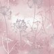 image 1 of Arthouse Fantasia Damselfly Wallpaper - Pink/Silver - 32.1ft x 21in