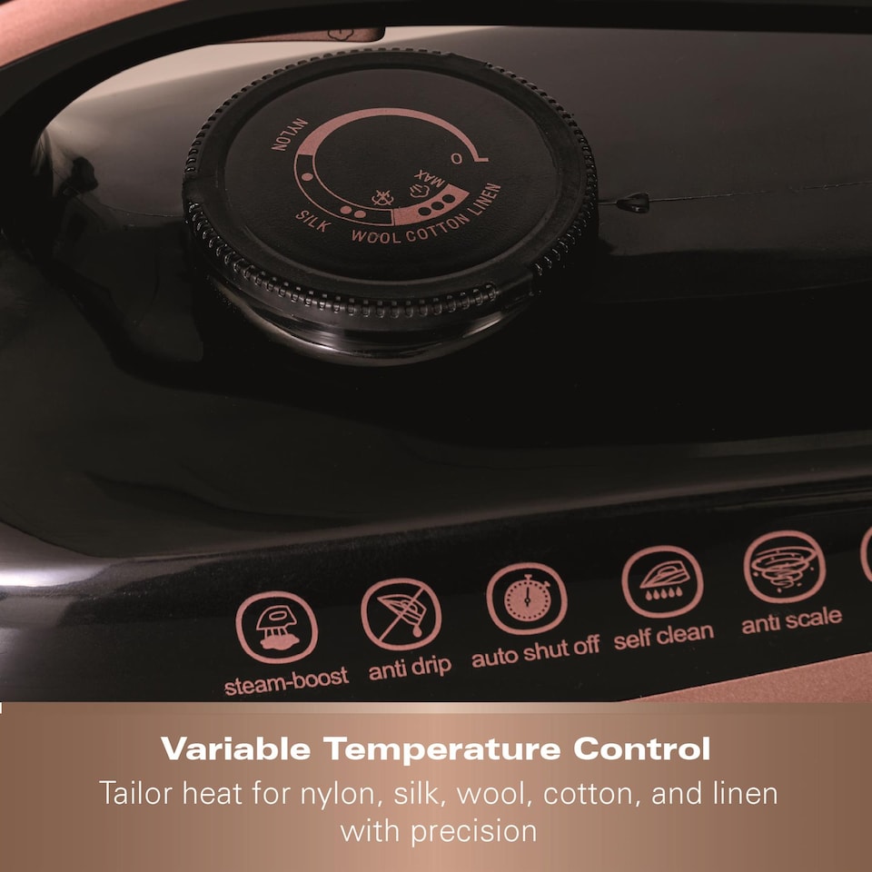 image 1 of Hamilton Beach Pro Care Steam Generator Iron