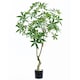 image 1 of 180cm Artificial Money Tree Pachira Realistic Faux Tree