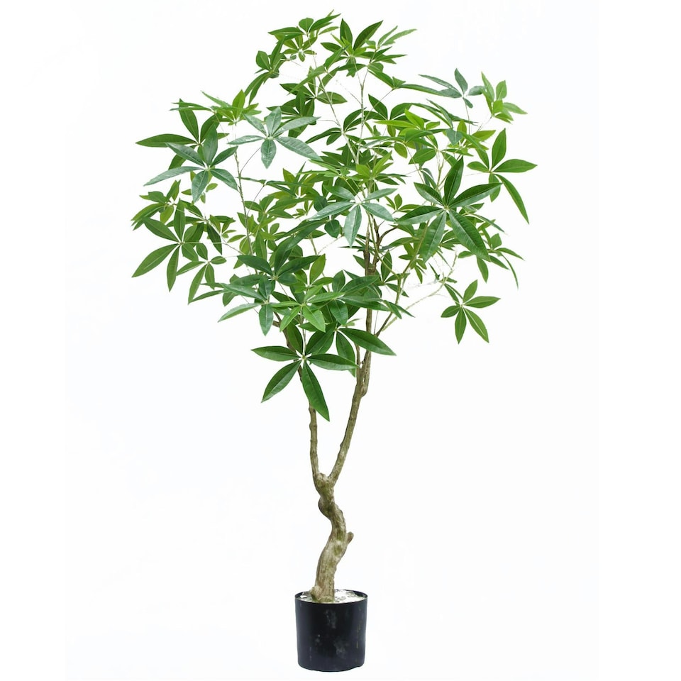 image 1 of 180cm Artificial Money Tree Pachira Realistic Faux Tree