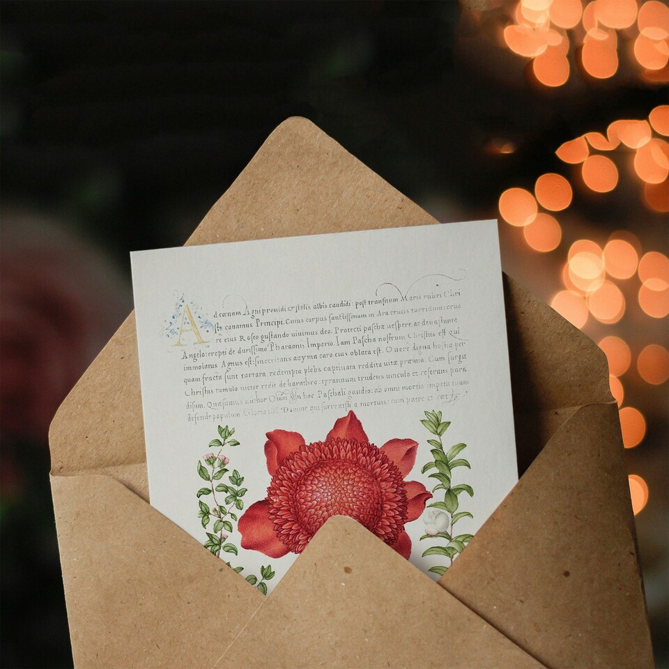 image 1 of Model Book of Calligraphy Art Card Poppy Anemone and Myrtle