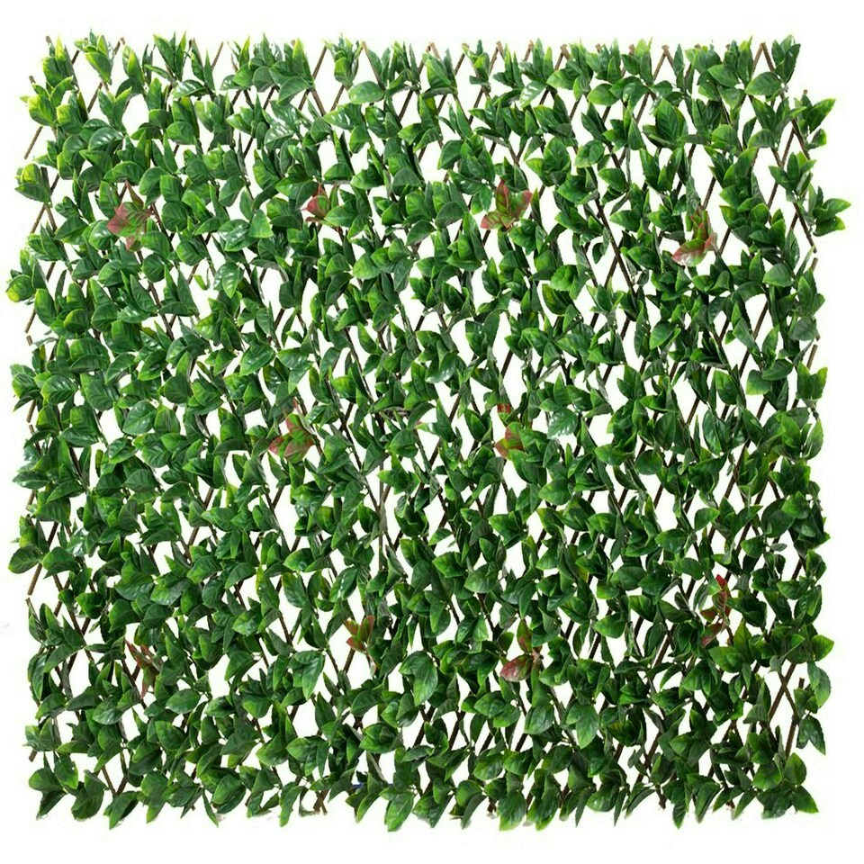 image 1 of Primrose Extendable Artificial Flower Outdoor Screening Trellis Black 1m x 2m