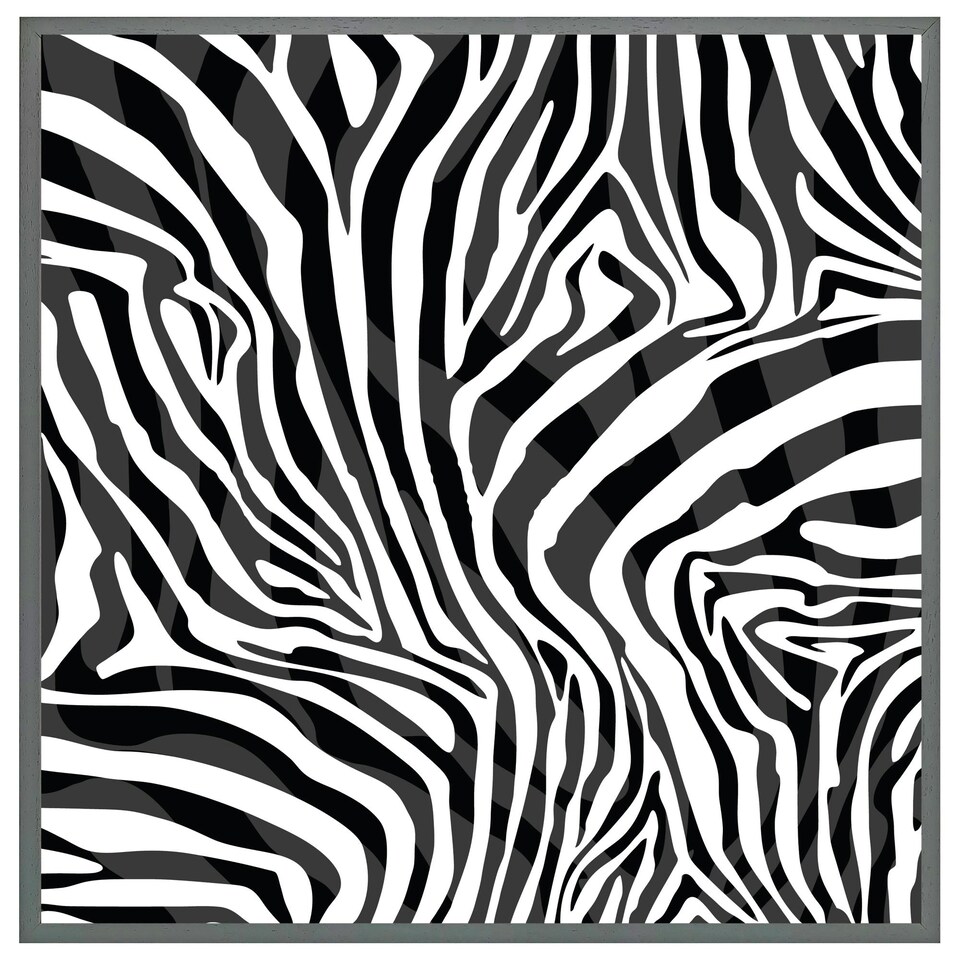 image 1 of Zebra animal print (Picture Frame) White | S