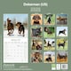 image 2 of Doberman (US) 2026 Calendar | Square Wall Calendar | Dog Breed Gift | Plastic Free Packaging | by Avonside Publishing
