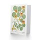 image 2 of Maurice Pillard Verneuil Art Card Nasturtium Flower