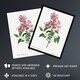 image 2 of Chinese Lilac Floral Redoute Vintage Huge Wall Art Print 18X24 In