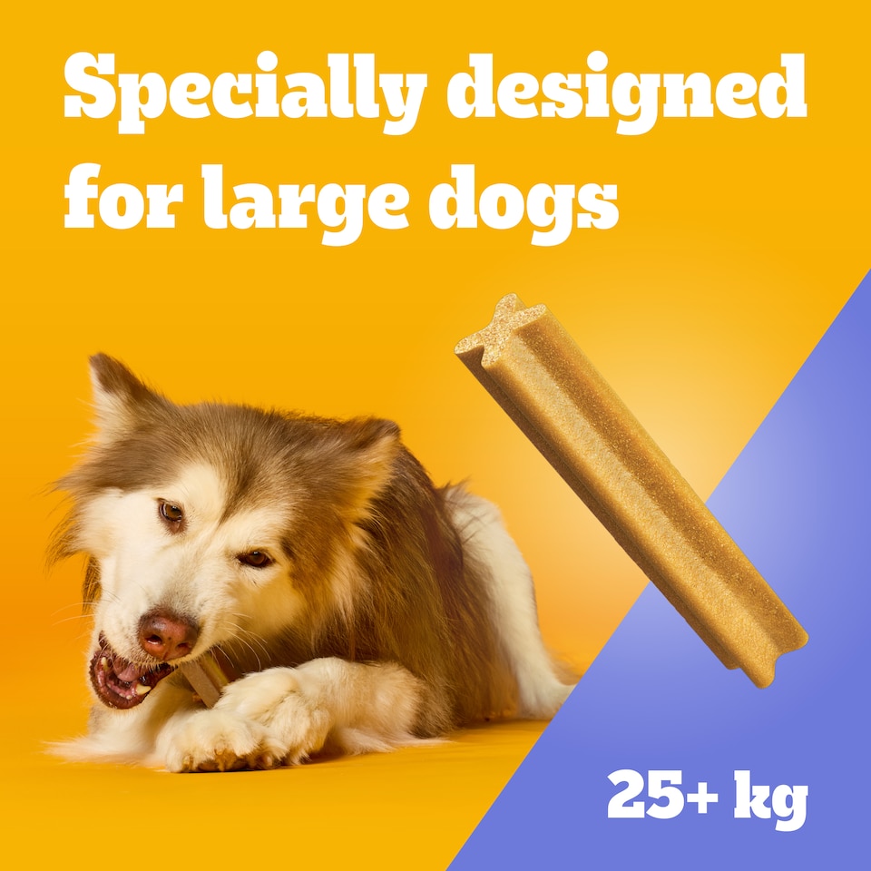 image 1 of 105 Pedigree Dentastix Daily Dental Sticks Dog Treats Large Dog Chews