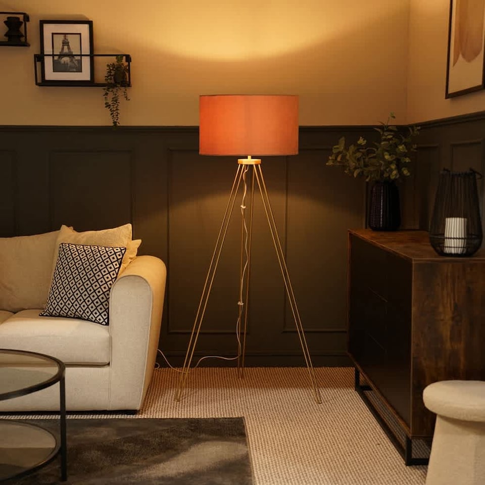 image 1 of ValueLights Aero Polished Gold Floor Lamp Pink Shade & Bulb | Pink