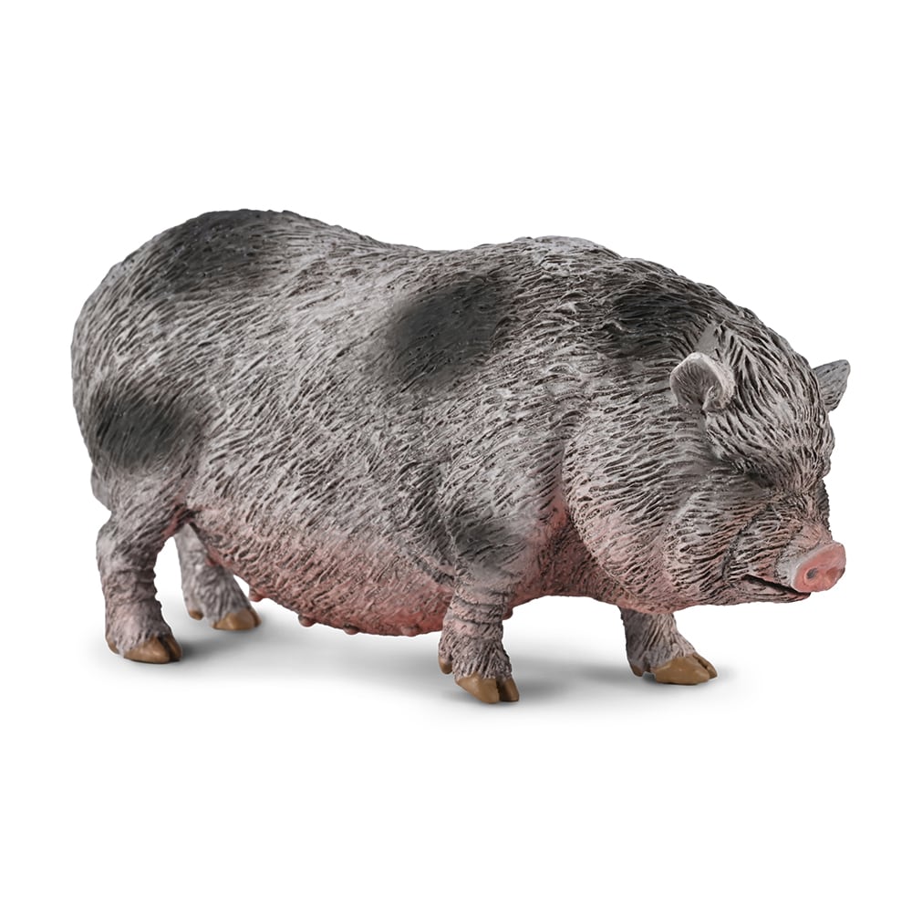 CollectA Pot-bellied Pig in Grey