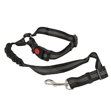 Ashley Headrest Dog Seat Belt - 50-82cm - Black