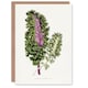 image 1 of AF Lydon Benjamin Fawcett Green Wild Cabbage Leaf Art Greeting Card