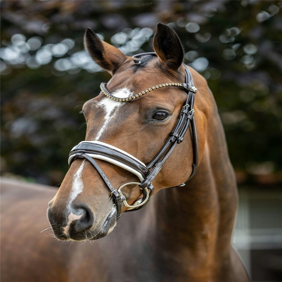 image 1 of LeMieux Kudos Patent Dressage Bridle Brown | X-Full