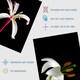 image 4 of Set of 3 Macro Photo Flower Bloom Petal Anther Stem Photography Black Wall Art Print A4