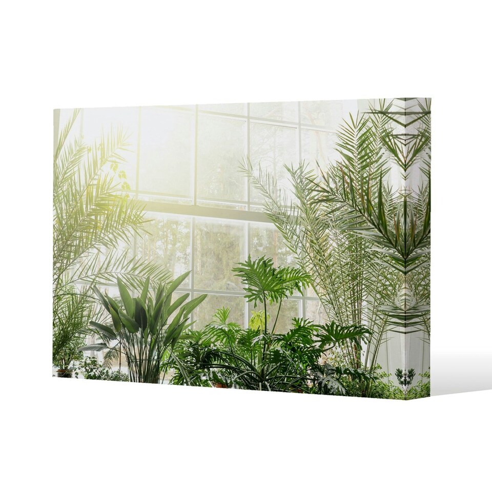 image 1 of Green plants in botanical gardens (Canvas Print) | Cream