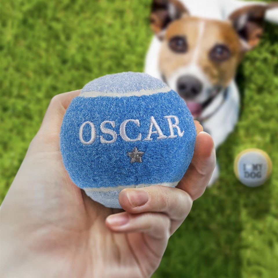 image 1 of Pre-Personalised Dog Ball Gift Pack 2pcs Blue Oscar