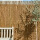 image 1 of Primrose Willow Screening Roll Fencing Garden Premium Decorative L3m x H1m
