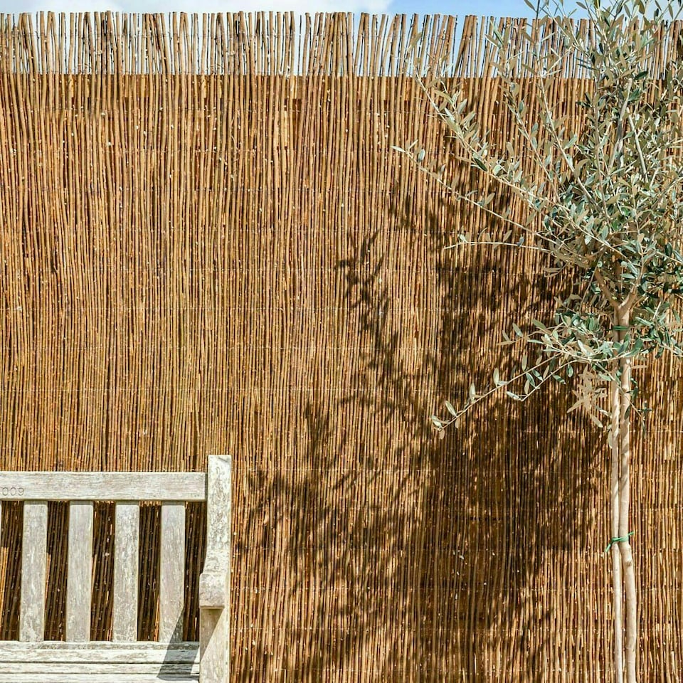 image 1 of Primrose Willow Screening Roll Fencing Garden Premium Decorative L3m x H1m