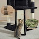 image 5 of Yaheetech 106 cm Kitten Tree Tower with Natural Sisal  Black