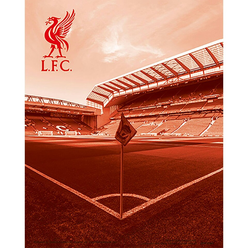 image 1 of Liverpool FC Anfield Stadium 3D Print - Red/White - One Size