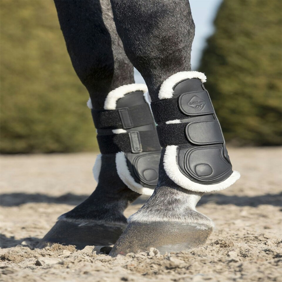 image 1 of LeMieux Capella Comfort Tendon Boots Black | Size 3