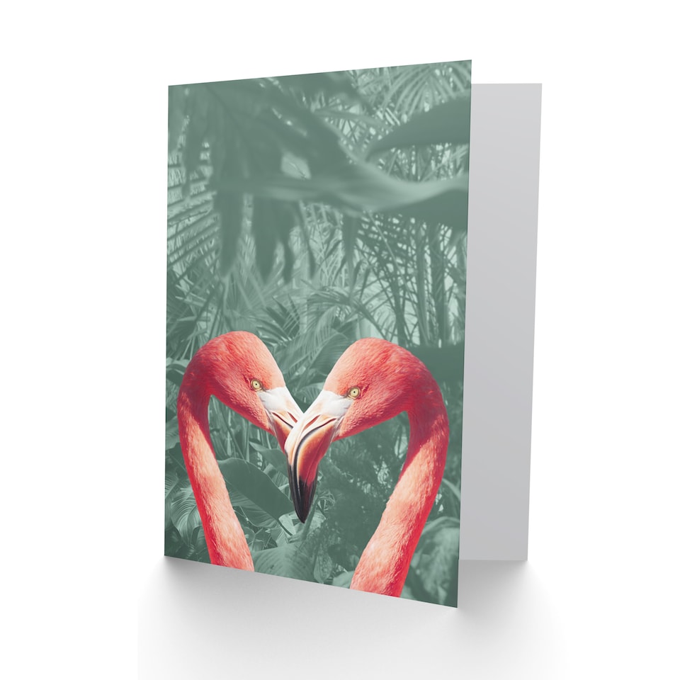 image 1 of Flamingo Jungle Love Greetings Card