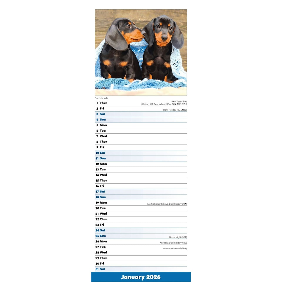 image 1 of Puppies Slim 2026 Calendar | Slimline Wall Calendar | Dog Breed Gift | Plastic Free Packaging | by Avonside Publishing [Calendar] Avonside Publishing Ltd