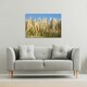 image 2 of Pampus Grass (Canvas Print) 101 x 77 x 4cm