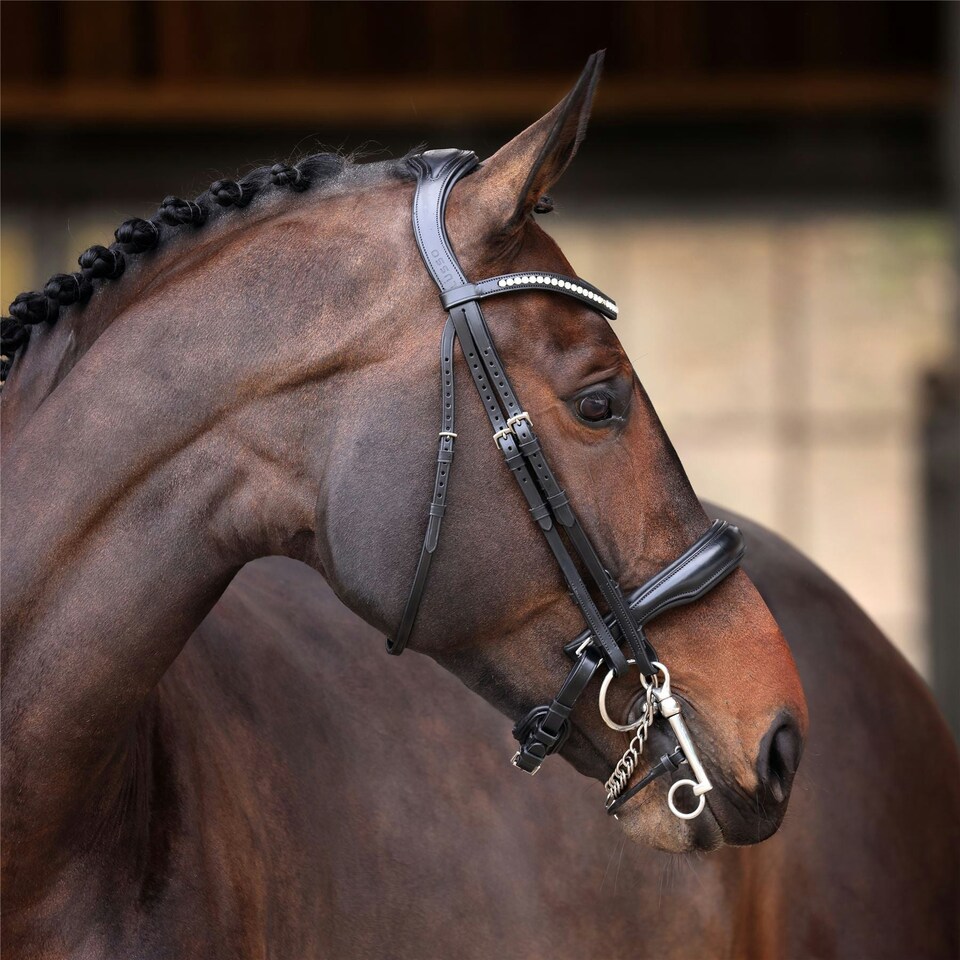 Shires Velociti Lusso Elite Double Bridle Black | Size: Full
Colour: Black