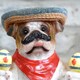 image 5 of Gifts Direct 2 U Mexican Bulldog Ornament | Brown