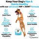 image 3 of Hip & Joint Treats