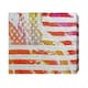 image 1 of American Flag Flare (Canvas Print) 12" x 18"