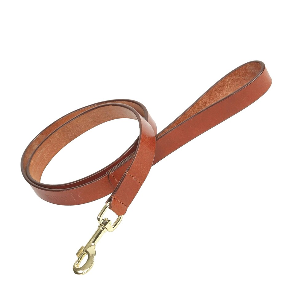image 1 of Digby & Fox Flat Leather Dog Lead - Tan - M