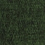 9902 Evergreen