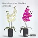image 2 of Homescapes Set of 2 Cream & Pink Artificial Orchids in Black Ceramic Pots, 55 cm