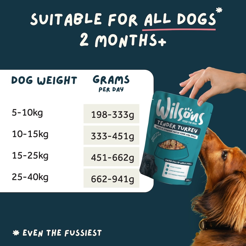image 1 of Wilsons Turkey Fresh Dog Food Premium Natural Protein Complete Balanced Diet - 8x 380g Pouches
