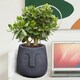 image 8 of Textured Concrete Effect Washed Black Oval Face Planter Indoor L30.5 D29.5 H29.5 cm, 13.9 ltrs Cap.