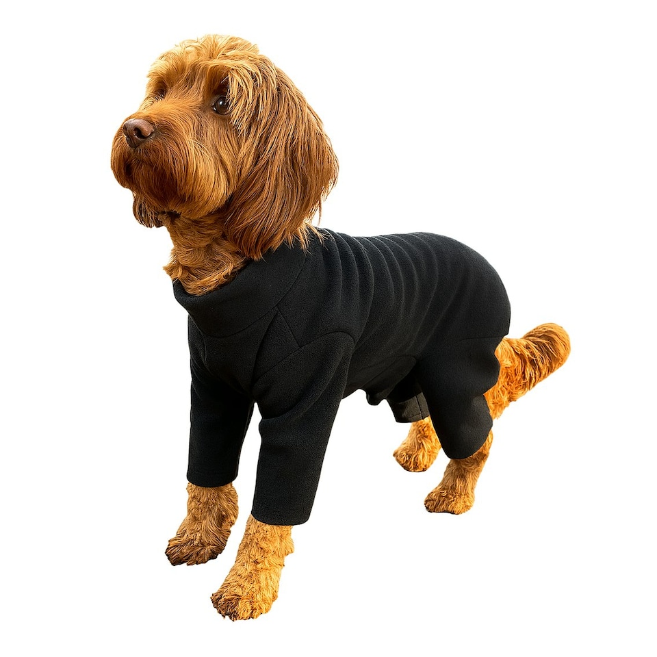 image 1 of Four Legged Dog Fleece - XL / Black Black | XL