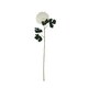 image 1 of Hill Interiors Chrysanthemum Artificial Flower - White - One Size
