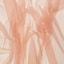 Tearose