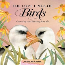 The Love Lives Of Birds