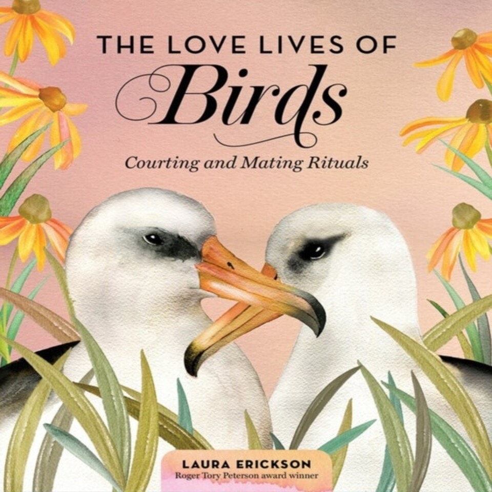 The Love Lives Of Birds