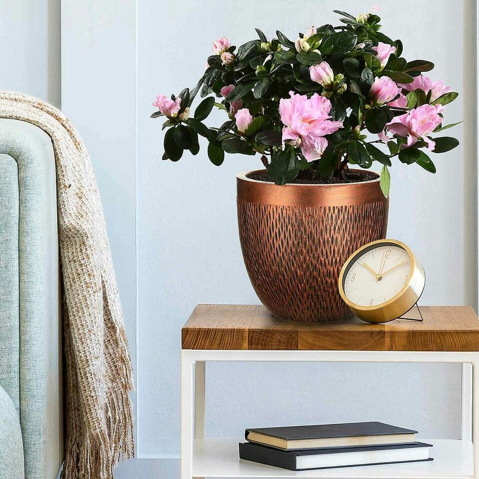 image 1 of Mesh Style Bronze Round Planter, Indoor Plant Pot D26.5 H24.5 cm, 13 ltrs Cap.